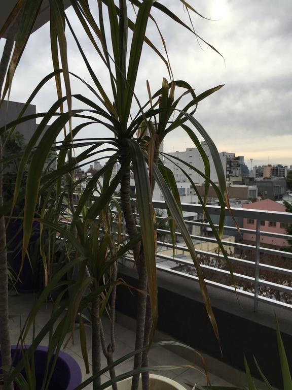 Gorriti Palace Ciudad Autónoma de Ciudad Autónoma de Buenos Aires Exterior foto